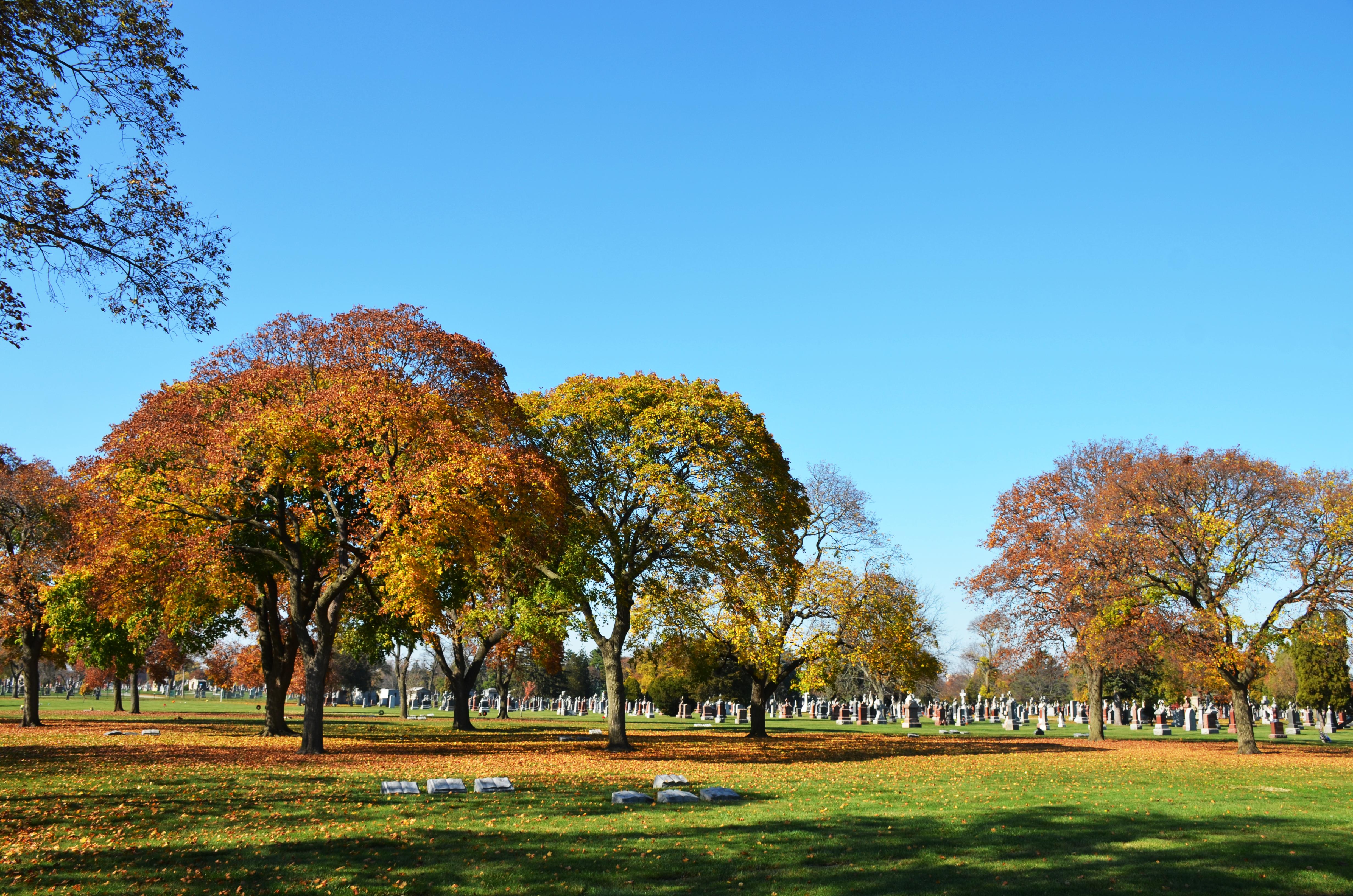 St. Adalbert cemetery