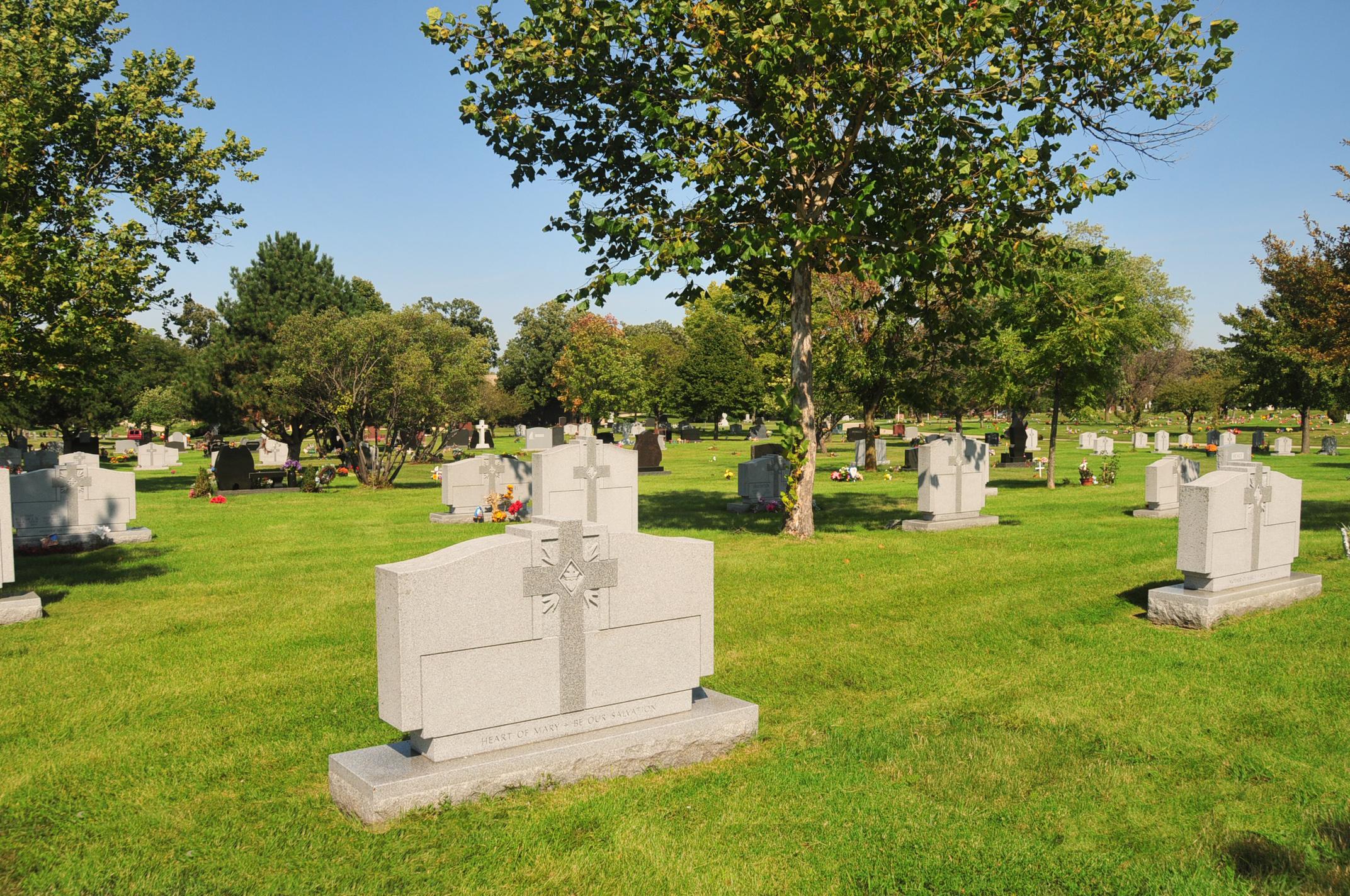 Burial Options